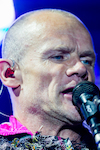 Image of Flea (musician)