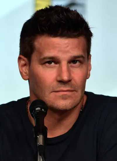 Image of David Boreanaz