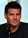 Image of David Boreanaz