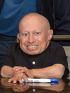 Image of Verne Troyer