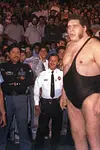 Image of André the Giant