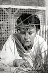 Image of Harper Lee