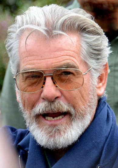 Image of Pierce Brosnan